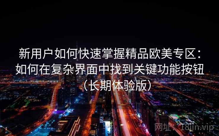 新用户如何快速掌握精品欧美专区：如何在复杂界面中找到关键功能按钮（长期体验版）