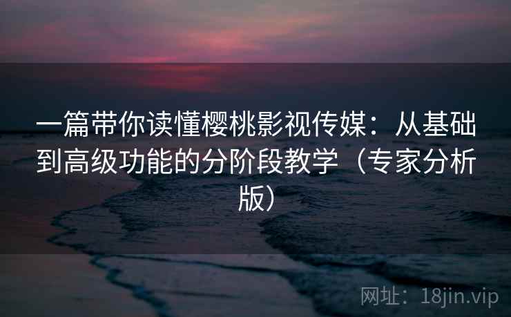 一篇带你读懂樱桃影视传媒：从基础到高级功能的分阶段教学（专家分析版）