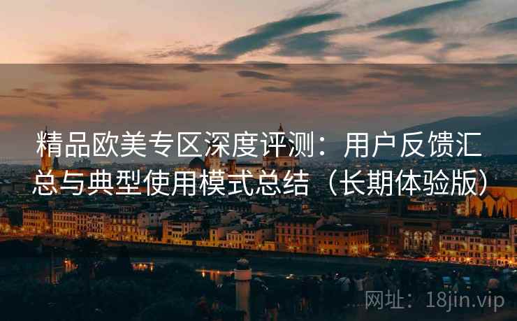 精品欧美专区深度评测：用户反馈汇总与典型使用模式总结（长期体验版）
