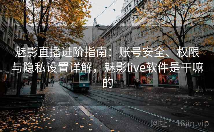魅影直播进阶指南：账号安全、权限与隐私设置详解，魅影live软件是干嘛的