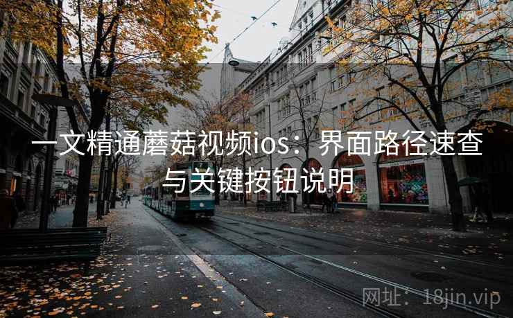 一文精通蘑菇视频ios：界面路径速查与关键按钮说明