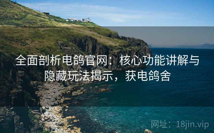 全面剖析电鸽官网：核心功能讲解与隐藏玩法揭示，获电鸽舍