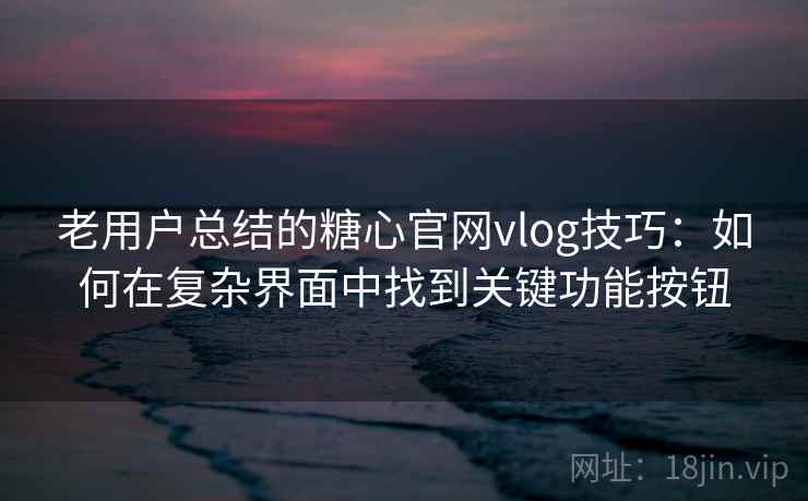 老用户总结的糖心官网vlog技巧：如何在复杂界面中找到关键功能按钮