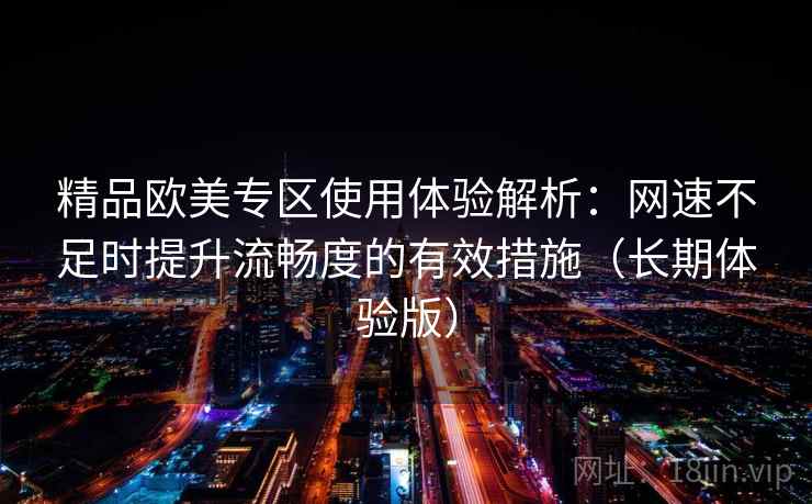 精品欧美专区使用体验解析：网速不足时提升流畅度的有效措施（长期体验版）