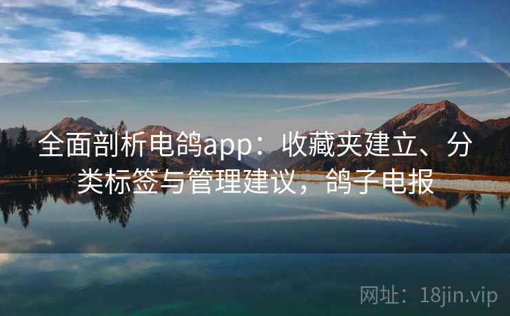 全面剖析电鸽app：收藏夹建立、分类标签与管理建议，鸽子电报