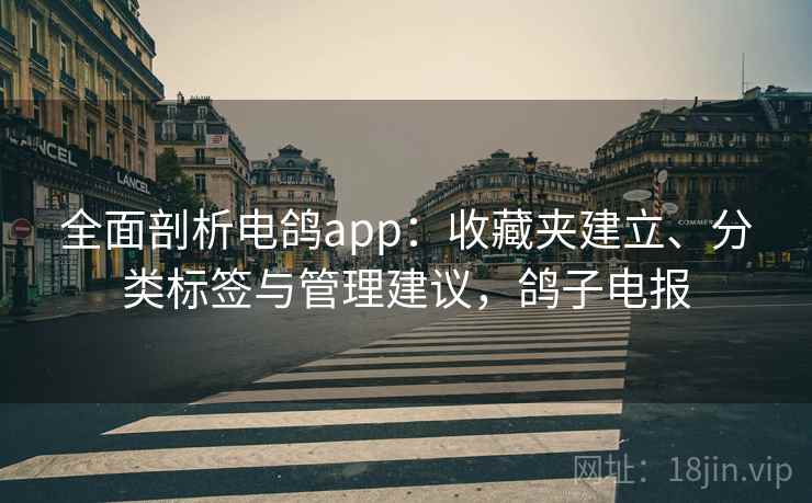 全面剖析电鸽app：收藏夹建立、分类标签与管理建议，鸽子电报