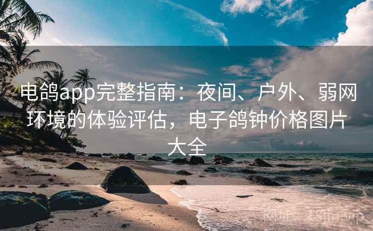 电鸽app完整指南：夜间、户外、弱网环境的体验评估，电子鸽钟价格图片大全