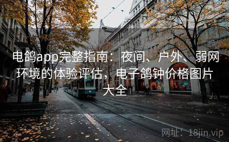 电鸽app完整指南：夜间、户外、弱网环境的体验评估，电子鸽钟价格图片大全