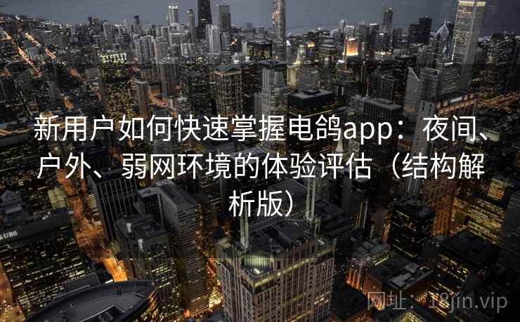 新用户如何快速掌握电鸽app：夜间、户外、弱网环境的体验评估（结构解析版）