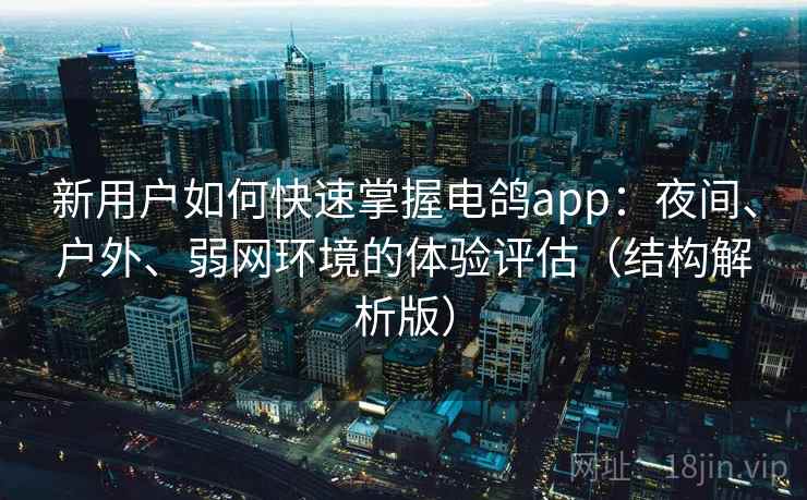新用户如何快速掌握电鸽app：夜间、户外、弱网环境的体验评估（结构解析版）