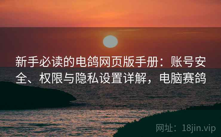 新手必读的电鸽网页版手册:账号安全、权限与隐私设置详解,电脑赛鸽