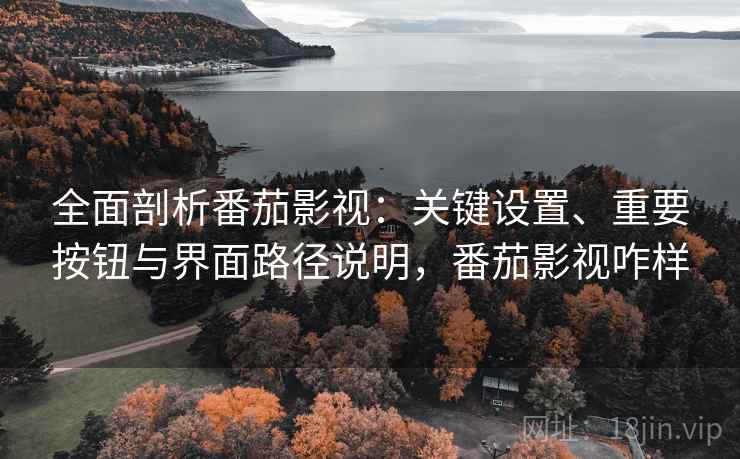 全面剖析番茄影视:关键设置、重要按钮与界面路径说明,番茄影视咋样