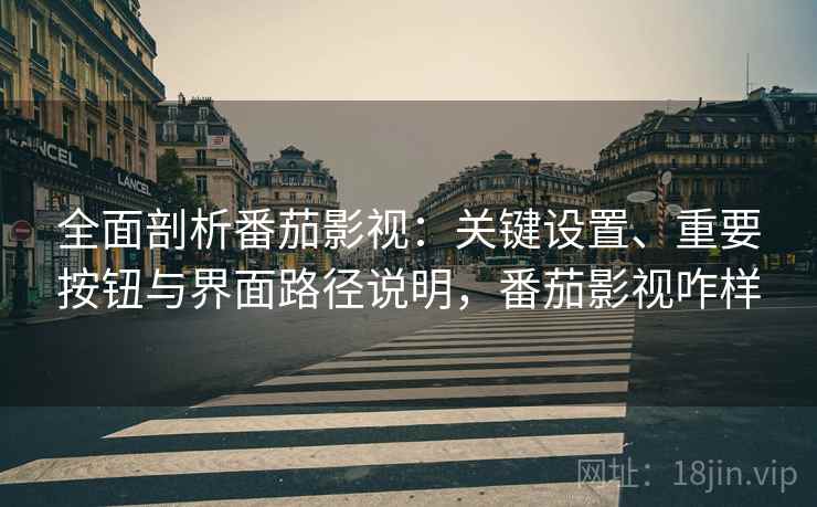 全面剖析番茄影视:关键设置、重要按钮与界面路径说明,番茄影视咋样 全面剖析番茄影视:关键设置、重要按钮与界面路径说明,番茄影视咋样