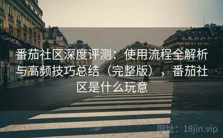 番茄社区深度评测：使用流程全解析与高频技巧总结（完整版），番茄社区是什么玩意