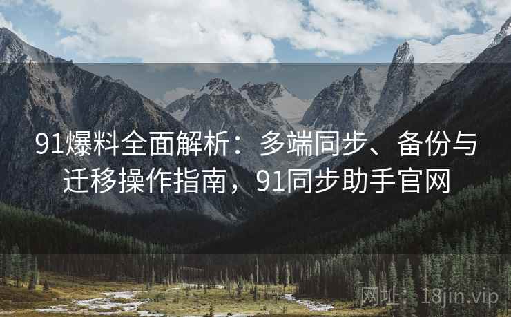 91爆料全面解析:多端同步、备份与迁移操作指南,91同步助手官网 91爆料全面解析:多端同步、备份与迁移操作指南,91同步助手官网