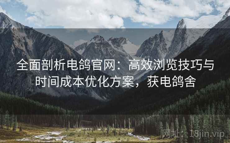 全面剖析电鸽官网:高效浏览技巧与时间成本优化方案,获电鸽舍 全面剖析电鸽官网:高效浏览技巧与时间成本优化方案,获电鸽舍