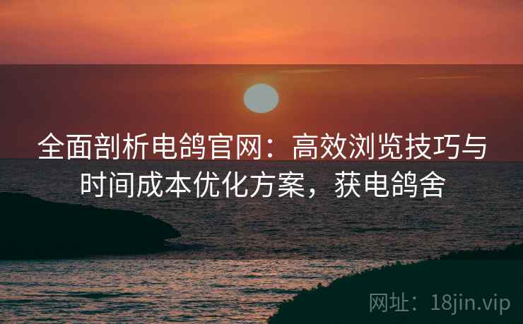 全面剖析电鸽官网:高效浏览技巧与时间成本优化方案,获电鸽舍 全面剖析电鸽官网:高效浏览技巧与时间成本优化方案,获电鸽舍