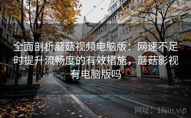 全面剖析蘑菇视频电脑版：网速不足时提升流畅度的有效措施，蘑菇影视有电脑版吗