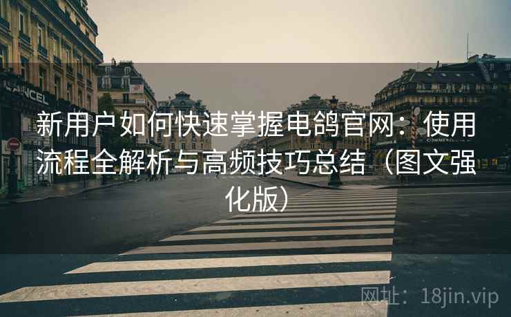 新用户如何快速掌握电鸽官网：使用流程全解析与高频技巧总结（图文强化版）