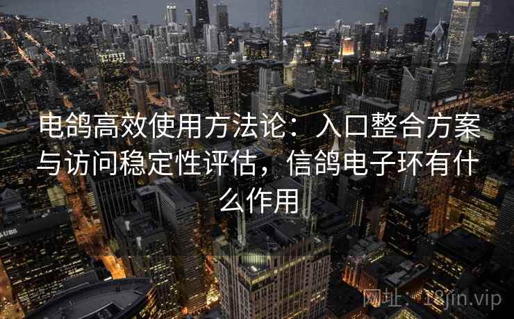 电鸽高效使用方法论：入口整合方案与访问稳定性评估，信鸽电子环有什么作用