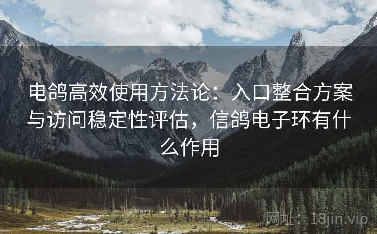 电鸽高效使用方法论:入口整合方案与访问稳定性评估,信鸽电子环有什么作用 电鸽高效使用方法论:入口整合方案与访问稳定性评估,信鸽电子环有什么作用