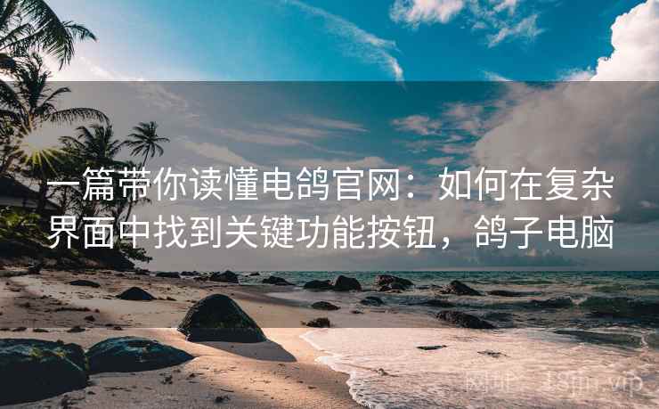 一篇带你读懂电鸽官网：如何在复杂界面中找到关键功能按钮，鸽子电脑